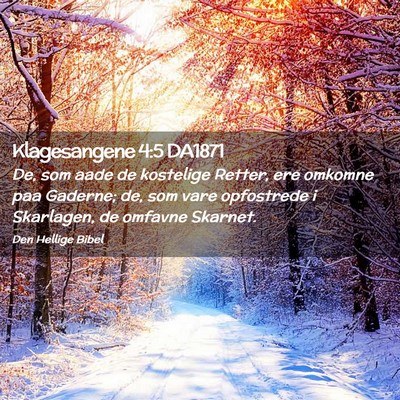 Picture 02 - Klagesangene 4:5 DA1871 - De, som aade de kostelige Retter, ere omkomne paa - Bible Verse Picture