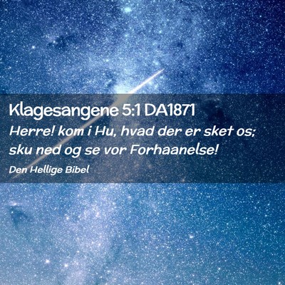 Picture 02 - Klagesangene 5:1 DA1871 - Herre! kom i Hu, hvad der er sket os; sku ned og - Bible Verse Picture