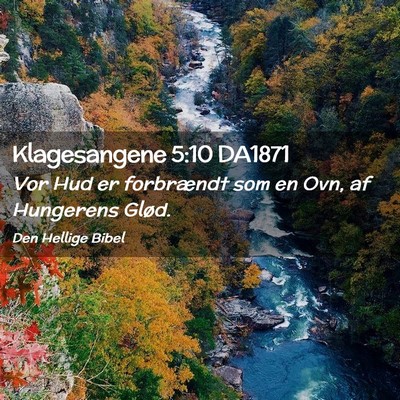 Picture 02 - Klagesangene 5:10 DA1871 - Vor Hud er forbrændt som en Ovn, af Hungerens - Bible Verse Picture