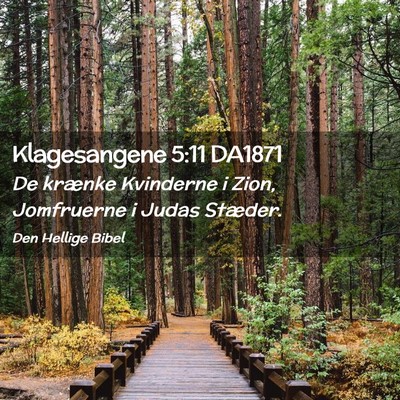 Picture 02 - Klagesangene 5:11 DA1871 - De krænke Kvinderne i Zion, Jomfruerne i Judas - Bible Verse Picture