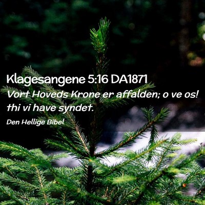 Picture 02 - Klagesangene 5:16 DA1871 - Vort Hoveds Krone er affalden; o ve os! thi vi - Bible Verse Picture