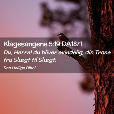 Picture 02 - Klagesangene 5:19 DA1871 - Du, Herre! du bliver evindelig, din Trone fra - Bible Verse Picture