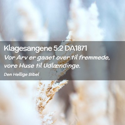 Picture 02 - Klagesangene 5:2 DA1871 - Vor Arv er gaaet over til fremmede, vore Huse til - Bible Verse Picture