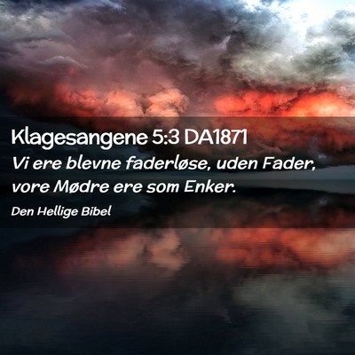 Picture 02 - Klagesangene 5:3 DA1871 - Vi ere blevne faderløse, uden Fader, vore Mødre - Bible Verse Picture