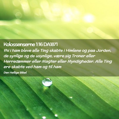 Picture 02 - Kolossenserne 1:16 DA1871 - thi i ham bleve alle Ting skabte i Himlene og paa - Bible Verse Picture