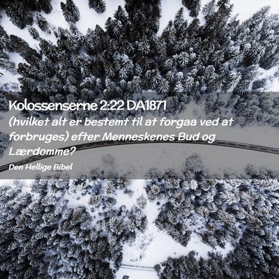Picture 02 - Kolossenserne 2:22 DA1871 - (hvilket alt er bestemt til at forgaa ved at - Bible Verse Picture