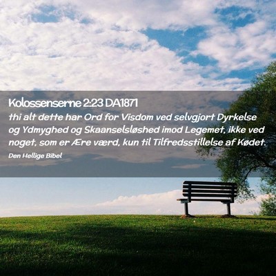 Picture 02 - Kolossenserne 2:23 DA1871 - thi alt dette har Ord for Visdom ved selvgjort - Bible Verse Picture