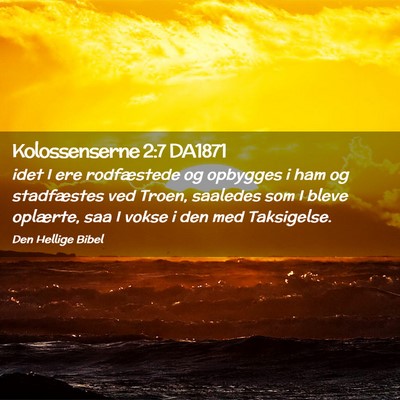 Picture 02 - Kolossenserne 2:7 DA1871 - idet I ere rodfæstede og opbygges i ham og - Bible Verse Picture