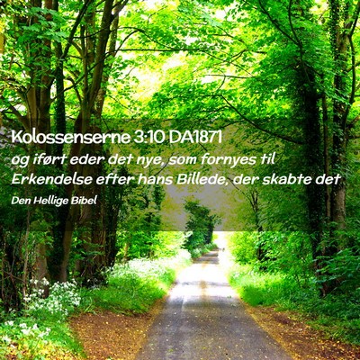 Picture 02 - Kolossenserne 3:10 DA1871 - og iført eder det nye, som fornyes til - Bible Verse Picture