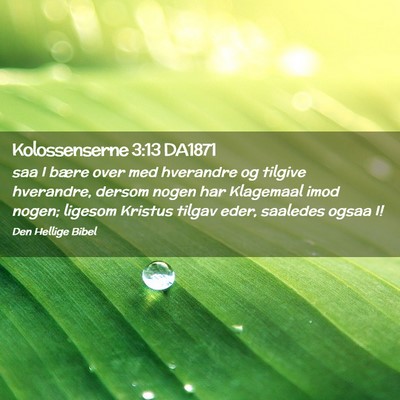 Picture 02 - Kolossenserne 3:13 DA1871 - saa I bære over med hverandre og tilgive - Bible Verse Picture