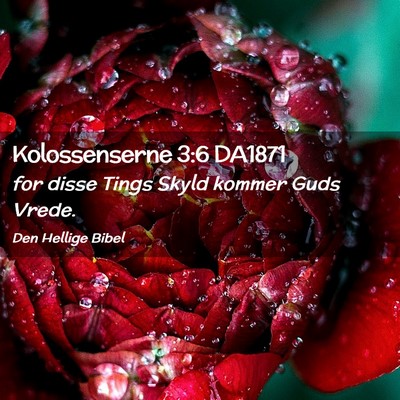 Picture 02 - Kolossenserne 3:6 DA1871 - for disse Tings Skyld kommer Guds - Bible Verse Picture