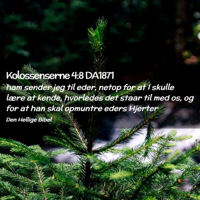 Picture 02 - Kolossenserne 4:8 DA1871 - ham sender jeg til eder, netop for at I skulle - Bible Verse Picture