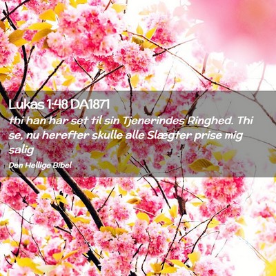 Picture 02 - Lukas 1:48 DA1871 - thi han har set til sin Tjenerindes Ringhed. Thi - Bible Verse Picture