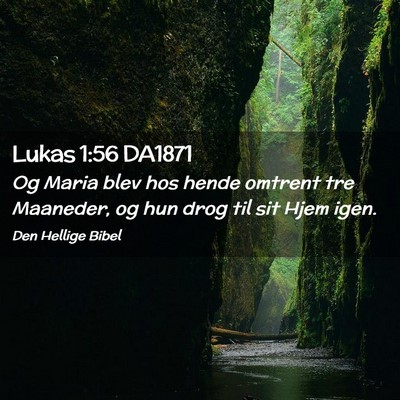 Picture 02 - Lukas 1:56 DA1871 - Og Maria blev hos hende omtrent tre Maaneder, og - Bible Verse Picture