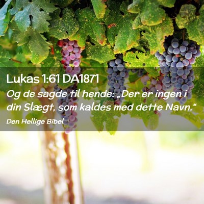 Picture 02 - Lukas 1:61 DA1871 - Og de sagde til hende: „Der er ingen i din - Bible Verse Picture