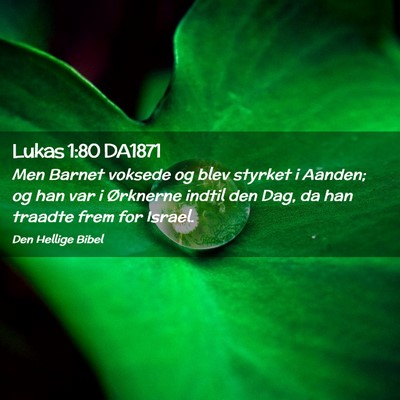 Picture 02 - Lukas 1:80 DA1871 - Men Barnet voksede og blev styrket i Aanden; og - Bible Verse Picture