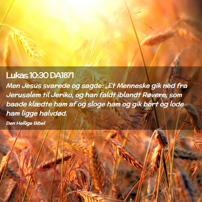 Picture 02 - Lukas 10:30 DA1871 - Men Jesus svarede og sagde: „Et Menneske gik - Bible Verse Picture