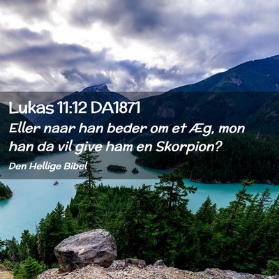 Picture 02 - Lukas 11:12 DA1871 - Eller naar han beder om et Æg, mon han da vil - Bible Verse Picture