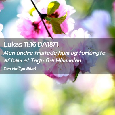 Picture 02 - Lukas 11:16 DA1871 - Men andre fristede ham og forlangte af ham et - Bible Verse Picture