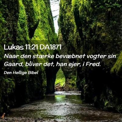 Picture 02 - Lukas 11:21 DA1871 - Naar den stærke bevæbnet vogter sin Gaard, - Bible Verse Picture