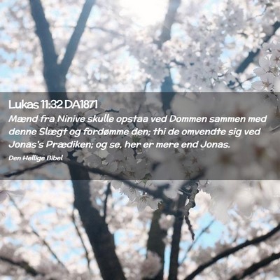 Picture 02 - Lukas 11:32 DA1871 - Mænd fra Ninive skulle opstaa ved Dommen sammen - Bible Verse Picture