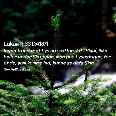 Picture 02 - Lukas 11:33 DA1871 - Ingen tænder et Lys og sætter det i Skjul, ikke - Bible Verse Picture
