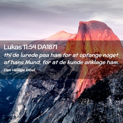 Picture 02 - Lukas 11:54 DA1871 - thi de lurede paa ham for at opfange noget af - Bible Verse Picture