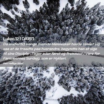 Picture 02 - Lukas 12:1 DA1871 - Da imidlertid mange Tusinde Mennesker havde - Bible Verse Picture