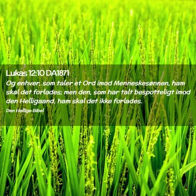 Picture 02 - Lukas 12:10 DA1871 - Og enhver, som taler et Ord imod Menneskesønnen, - Bible Verse Picture