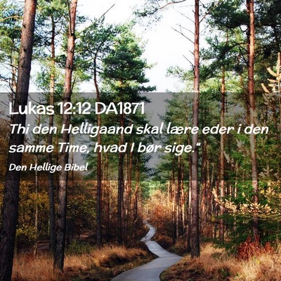 Picture 02 - Lukas 12:12 DA1871 - Thi den Helligaand skal lære eder i den samme - Bible Verse Picture