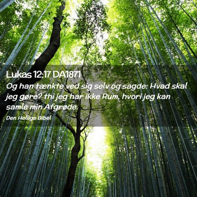 Picture 02 - Lukas 12:17 DA1871 - Og han tænkte ved sig selv og sagde: Hvad skal - Bible Verse Picture