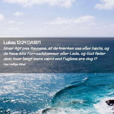Picture 02 - Lukas 12:24 DA1871 - Giver Agt paa Ravnene, at de hverken saa eller - Bible Verse Picture