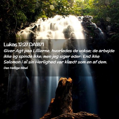 Picture 02 - Lukas 12:27 DA1871 - Giver Agt paa Lillierne, hvorledes de vokse; de - Bible Verse Picture