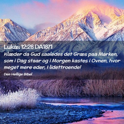 Picture 02 - Lukas 12:28 DA1871 - Klæder da Gud saaledes det Græs paa Marken, som - Bible Verse Picture