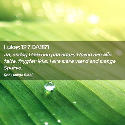 Picture 02 - Lukas 12:7 DA1871 - Ja, endog Haarene paa eders Hoved ere alle talte; - Bible Verse Picture