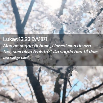 Picture 02 - Lukas 13:23 DA1871 - Men en sagde til ham: „Herre! mon de ere faa, - Bible Verse Picture
