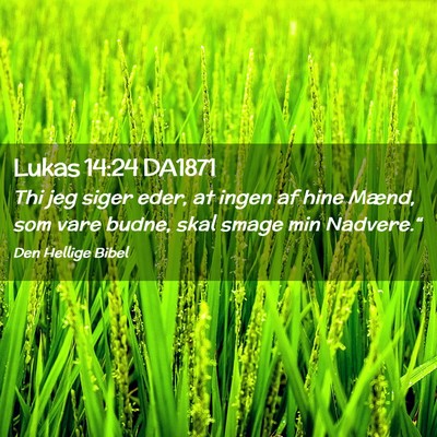 Picture 02 - Lukas 14:24 DA1871 - Thi jeg siger eder, at ingen af hine Mænd, som - Bible Verse Picture