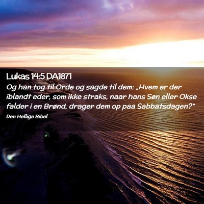 Picture 02 - Lukas 14:5 DA1871 - Og han tog til Orde og sagde til dem: „Hvem er - Bible Verse Picture