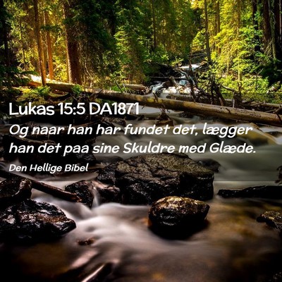Picture 02 - Lukas 15:5 DA1871 - Og naar han har fundet det, lægger han det paa - Bible Verse Picture