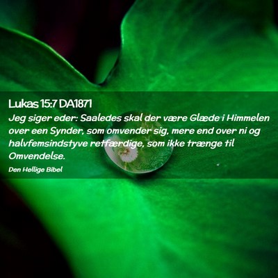 Picture 02 - Lukas 15:7 DA1871 - Jeg siger eder: Saaledes skal der være Glæde i - Bible Verse Picture