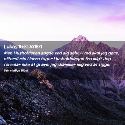 Picture 02 - Lukas 16:3 DA1871 - Men Husholderen sagde ved sig selv: Hvad skal jeg - Bible Verse Picture