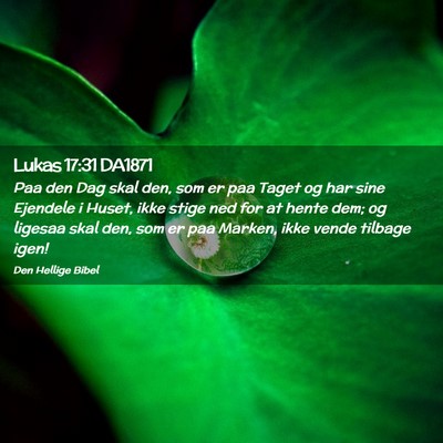 Picture 02 - Lukas 17:31 DA1871 - Paa den Dag skal den, som er paa Taget og har - Bible Verse Picture