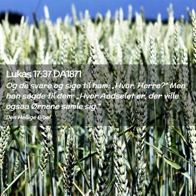 Picture 02 - Lukas 17:37 DA1871 - Og de svare og sige til ham: „Hvor, Herre?“ - Bible Verse Picture
