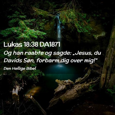 Picture 02 - Lukas 18:38 DA1871 - Og han raabte og sagde: „Jesus, du Davids Søn, - Bible Verse Picture