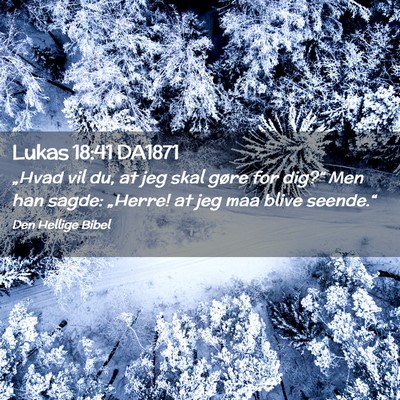 Picture 02 - Lukas 18:41 DA1871 - „Hvad vil du, at jeg skal gøre for dig?“ Men - Bible Verse Picture