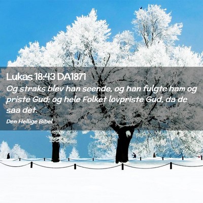 Picture 02 - Lukas 18:43 DA1871 - Og straks blev han seende, og han fulgte ham og - Bible Verse Picture