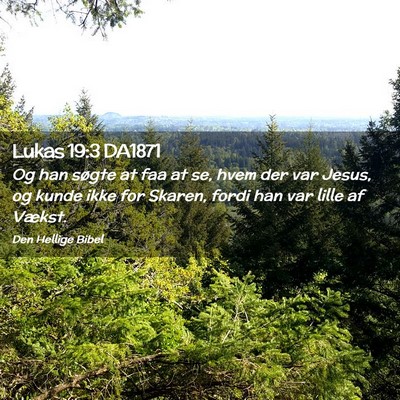 Picture 02 - Lukas 19:3 DA1871 - Og han søgte at faa at se, hvem der var Jesus, - Bible Verse Picture
