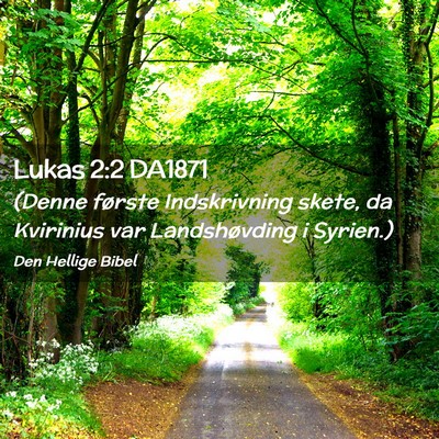 Picture 02 - Lukas 2:2 DA1871 - (Denne første Indskrivning skete, da Kvirinius - Bible Verse Picture