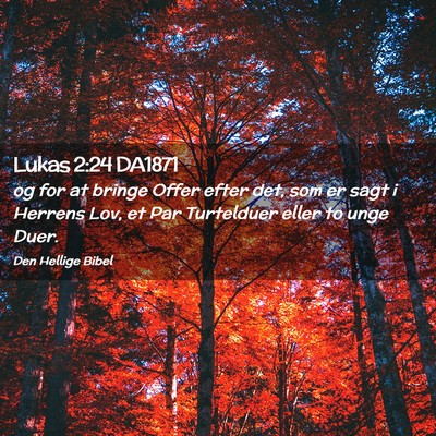 Picture 02 - Lukas 2:24 DA1871 - og for at bringe Offer efter det, som er sagt i - Bible Verse Picture