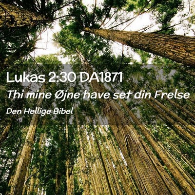 Picture 02 - Lukas 2:30 DA1871 - Thi mine Øjne have set din - Bible Verse Picture